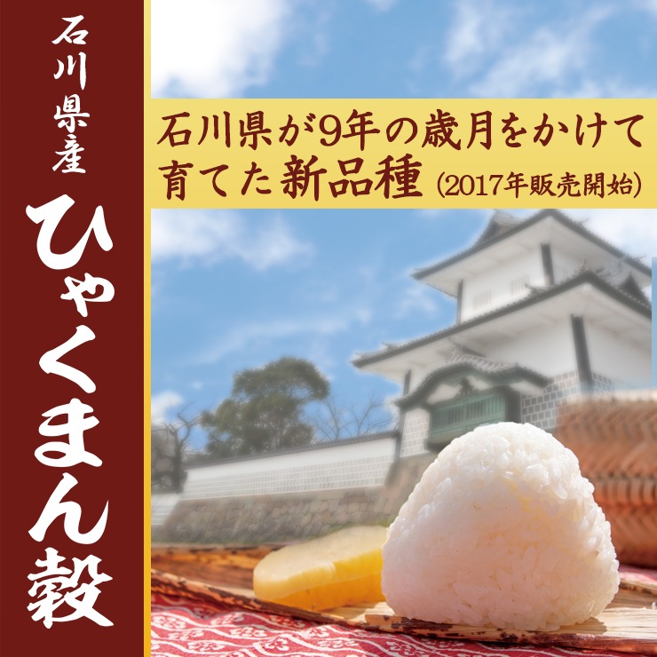 Ҥ㤯ޤ  20kg(5kg4) 6ǯ