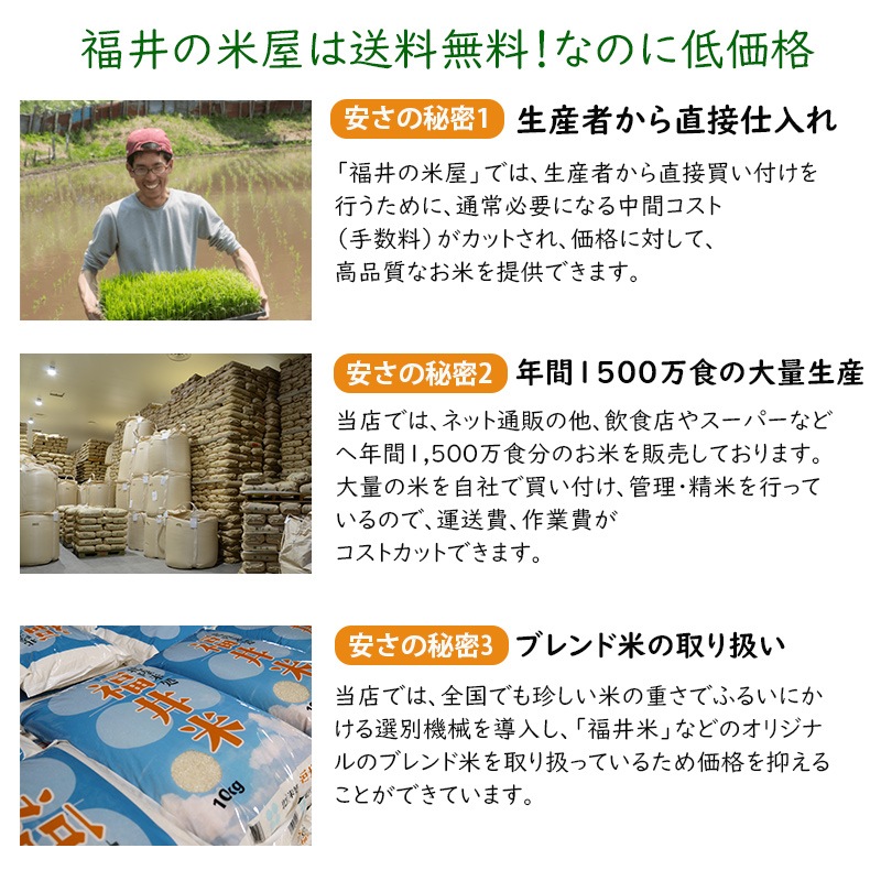 Ҥ㤯ޤ  20kg(5kg4) 6ǯ