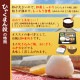 Ҥ㤯ޤ  20kg(5kg4) 6ǯ