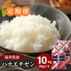 ������ءۥϥʥ������� ���� 10kg(5kg��2) ʡ�温��