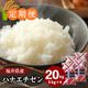 ������ءۥϥʥ������� ���� 20kg(5kg��4) ʡ�温��