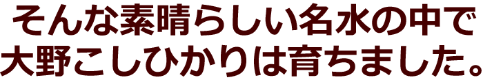 ҥ  10kg(5kg2) ʡ温 6ǯ