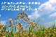 ҥ  10kg(5kg2) ʡ温 6ǯ