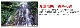 ҥ  10kg(5kg2) ʡ温 6ǯ