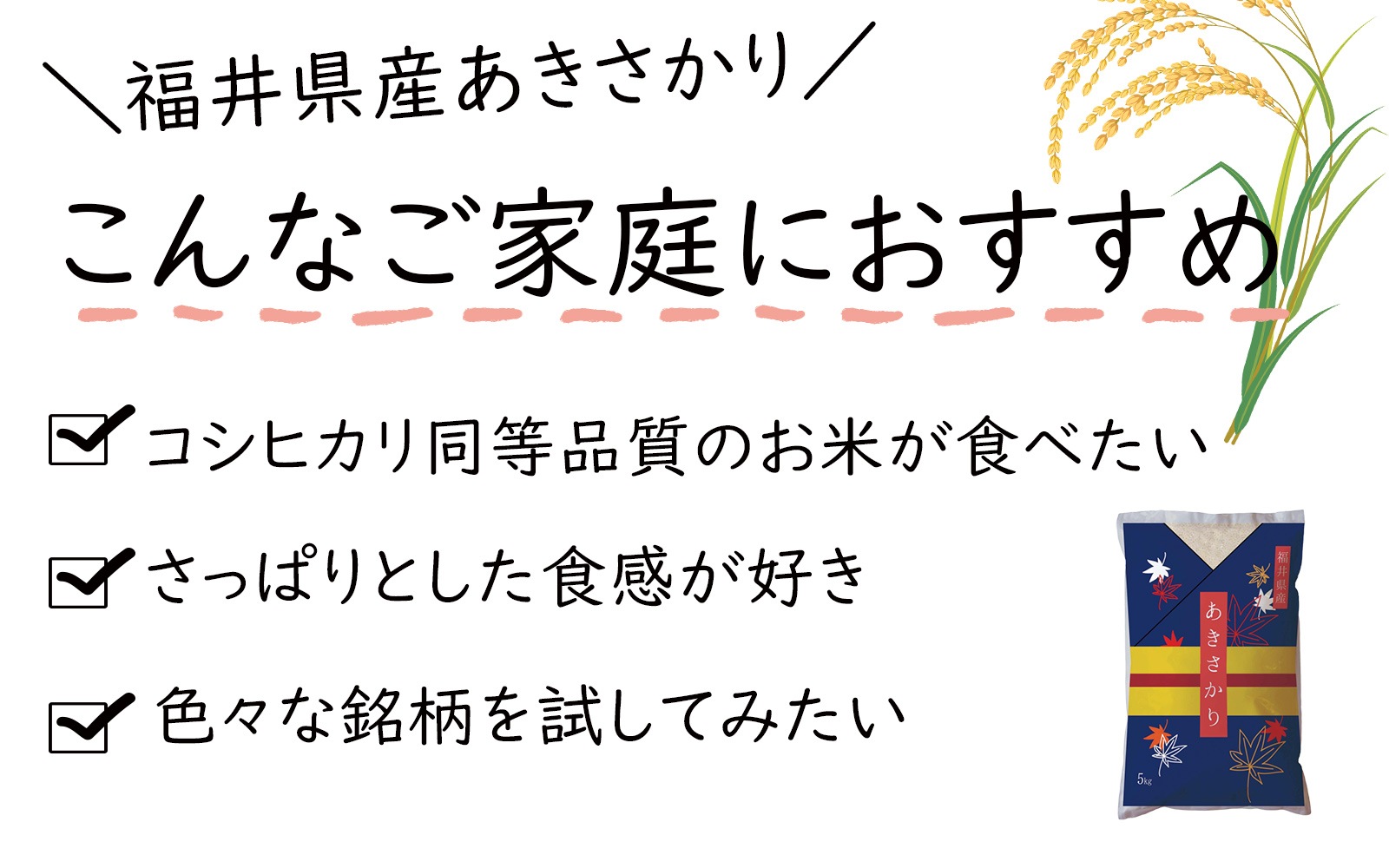   10kg(5kg2) ʡ温 6ǯ
