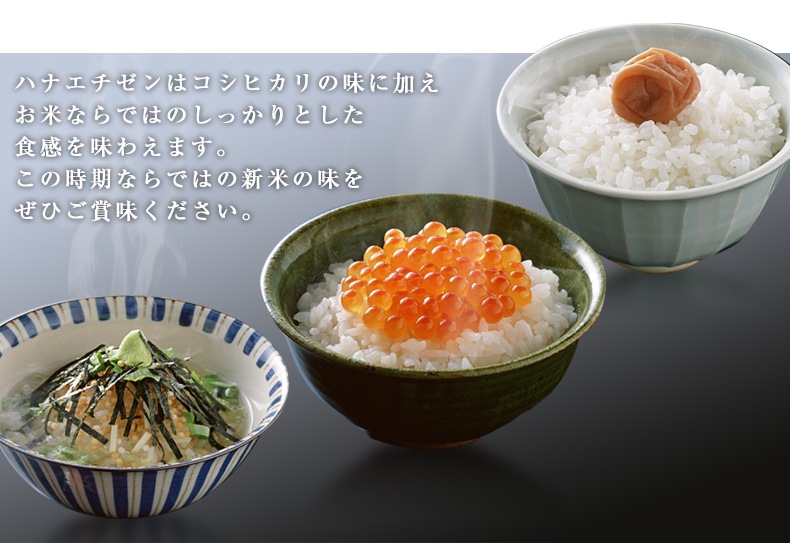 ϥʥ  20kg(5kg4) ʡ温 6ǯ