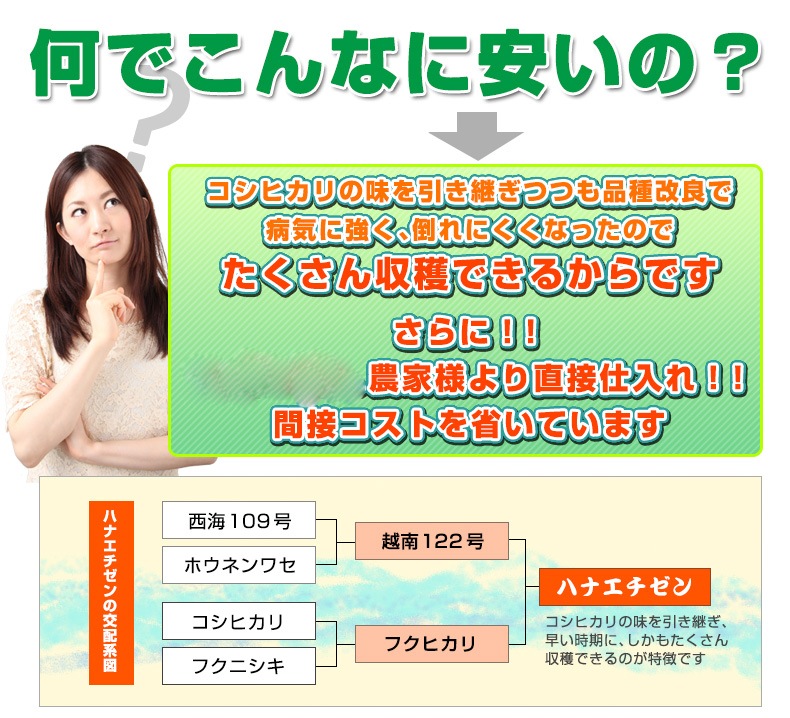 ϥʥ  20kg(5kg4) ʡ温 6ǯ