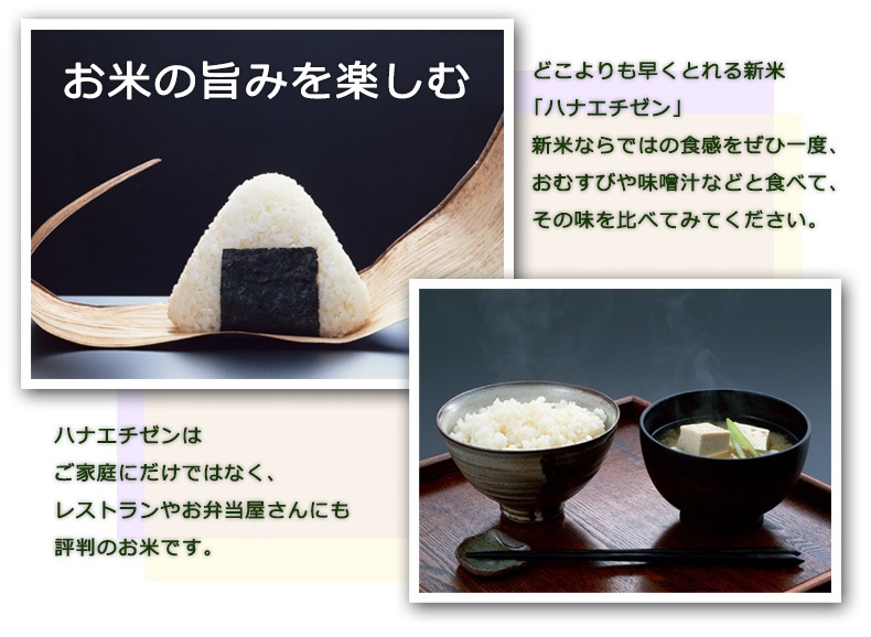 ϥʥ  20kg(5kg4) ʡ温 6ǯ