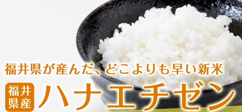 ϥʥ  20kg(5kg4) ʡ温 6ǯ
