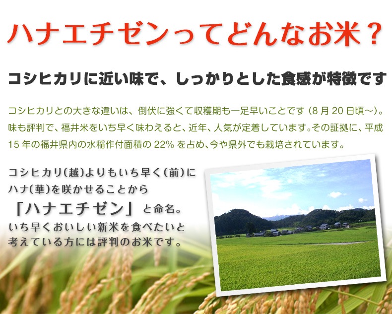 ϥʥ  20kg(5kg4) ʡ温 6ǯ