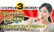 ϥʥ  20kg(5kg4) ʡ温 6ǯ