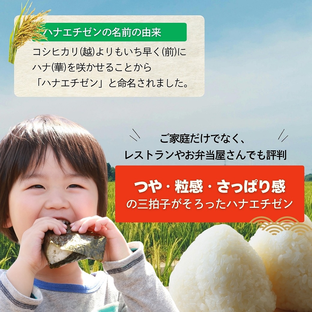 �ϥʥ������� ���� 5kg ʡ�温�� ����7ǯ��