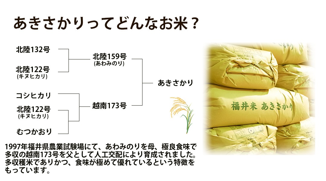 ءۤ  20kg(5kg4) ʡ温