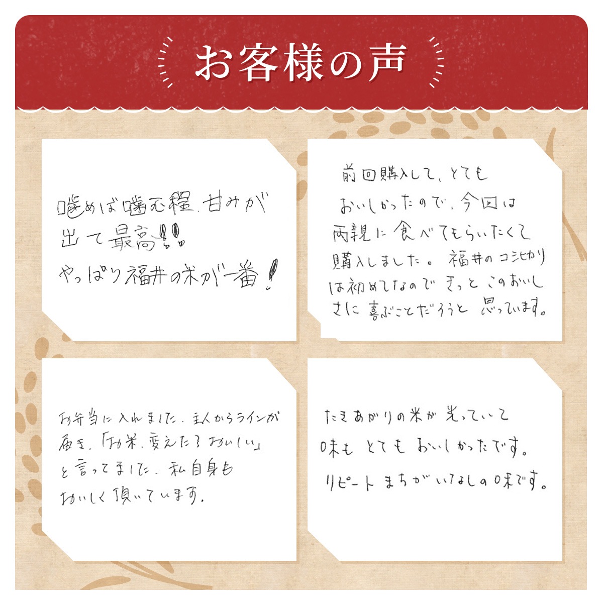  ʡ温ҥ  20kg(5kg4) 7ǯ