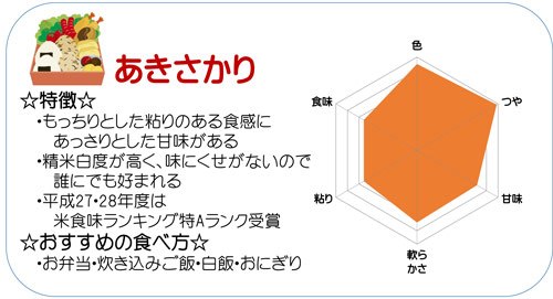 ءۤ ̵ 20kg(5kg4) ʡ温