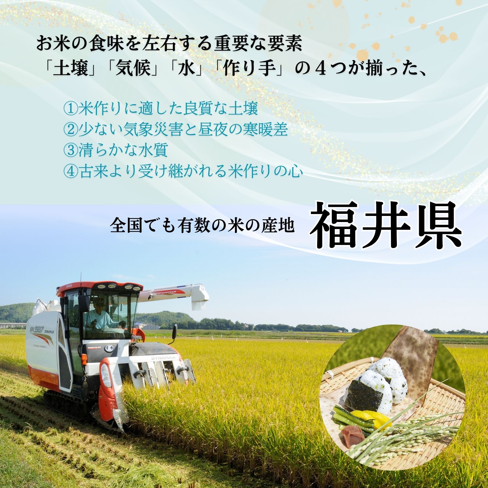  ʡ温ۤޤ  20kg(5kg4) 7ǯ