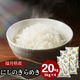 ʡ�温���ˤ��Τ���᤭ ���� 20kg(5kg��4) ����7ǯ��