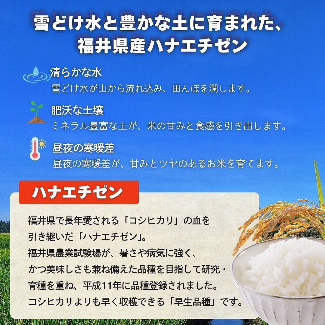 �ϥʥ������� ���� 2kg ʡ�温�� ����7ǯ��