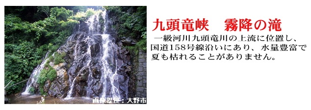 ������ء�������ҥ��� ���� 10kg(5kg��2) ʡ�温���