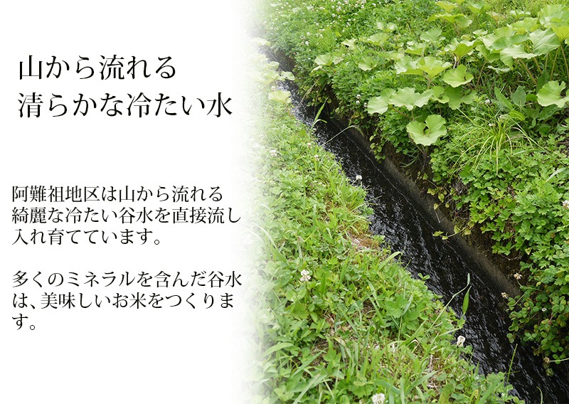 ٻߡ۰ĥҥ  5kg ʡ温Ļ 6ǯ