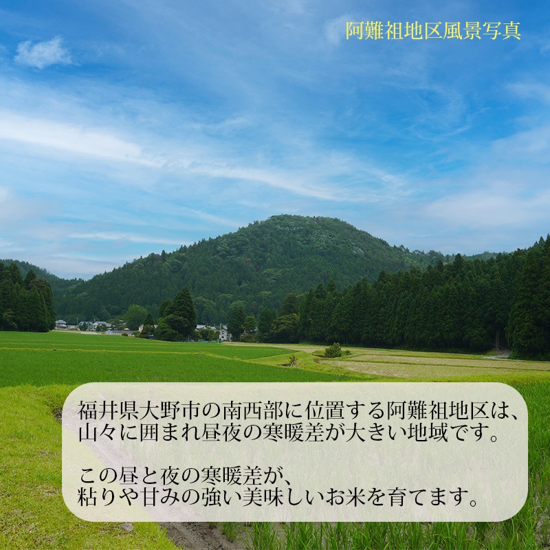 ٻߡ۰ĥҥ  5kg ʡ温Ļ 6ǯ
