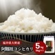 ٻߡ۰ĥҥ  5kg ʡ温Ļ 6ǯ