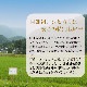 ٻߡ۰ĥҥ  5kg ʡ温Ļ 6ǯ