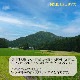 ٻߡ۰ĥҥ  5kg ʡ温Ļ 6ǯ