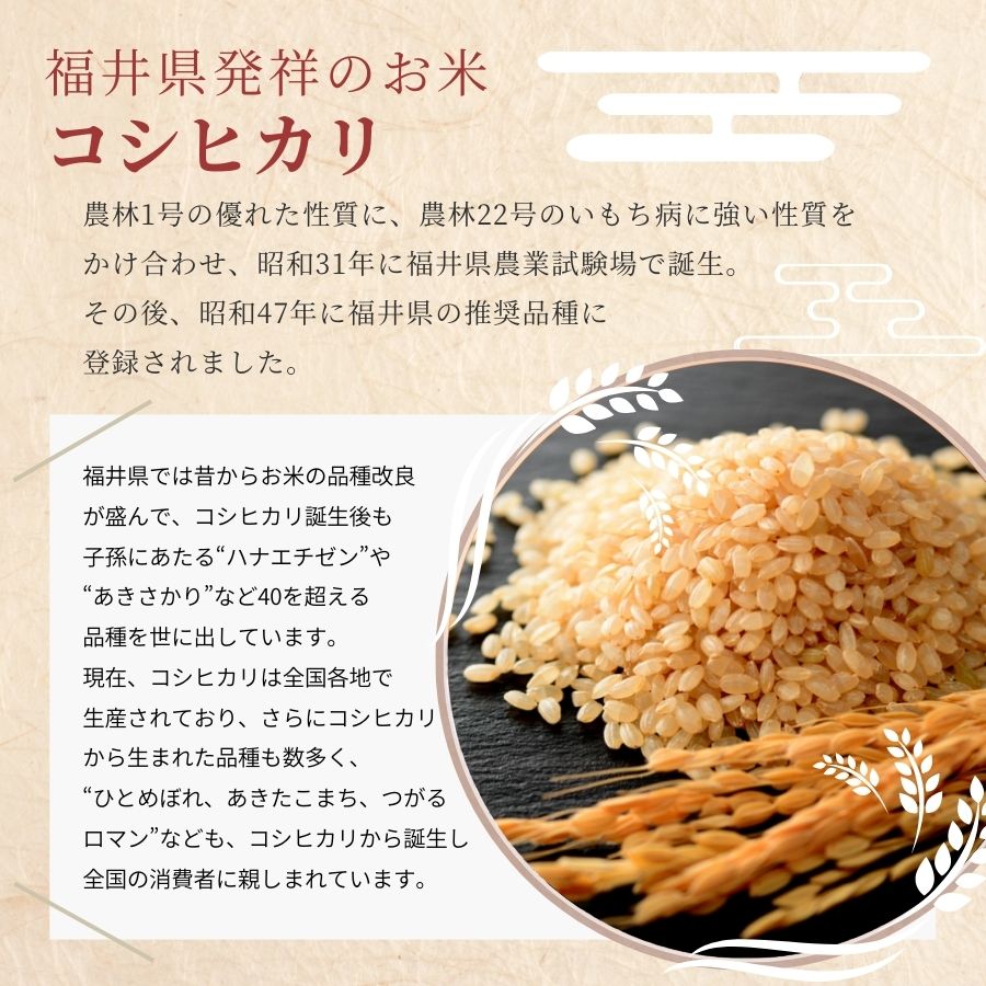  ҥ  20kg(5kg4) ʡ温 6ǯ