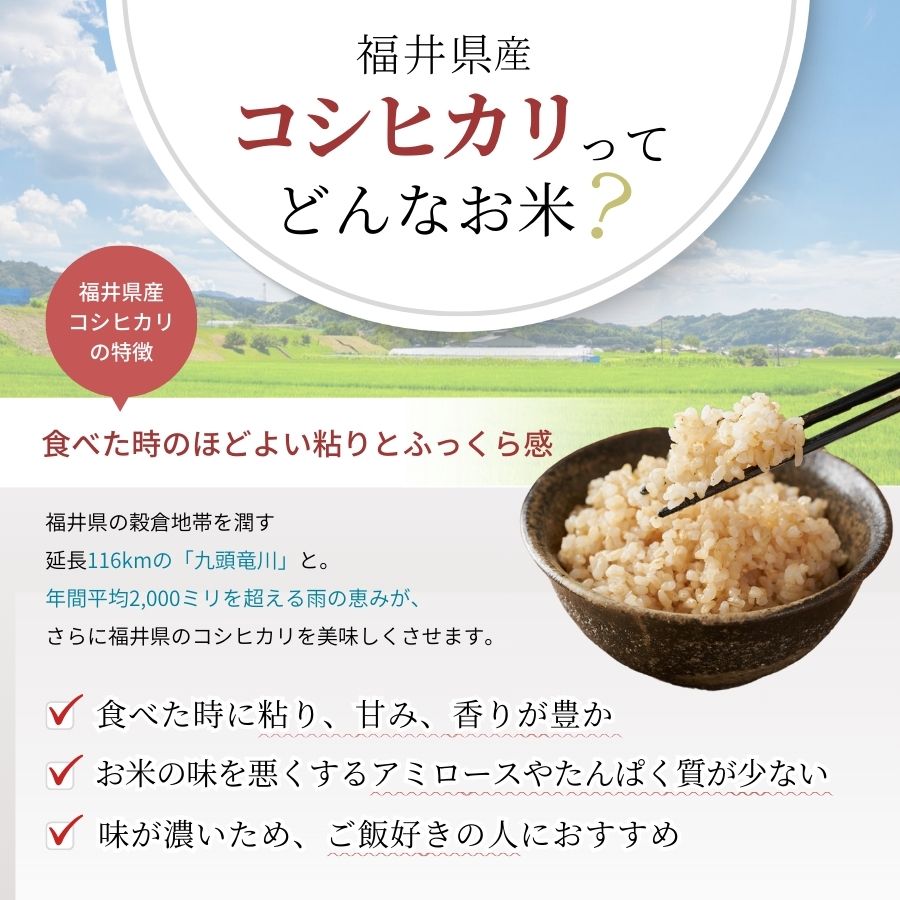  ҥ  20kg(5kg4) ʡ温 6ǯ