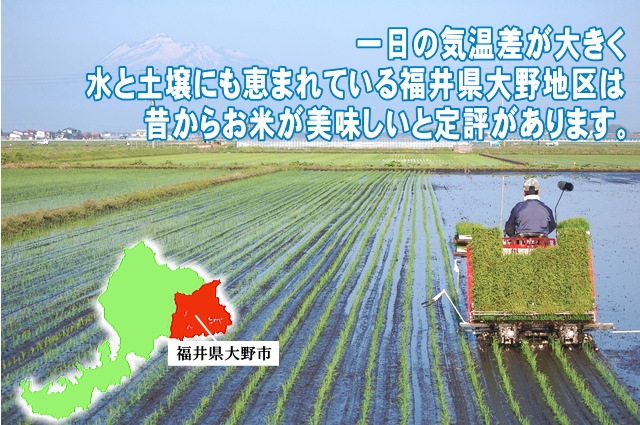  ҥ  5kg ʡ温 7ǯ