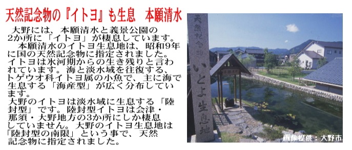 ҥ  15kg(5kg3) ʡ温 6ǯ