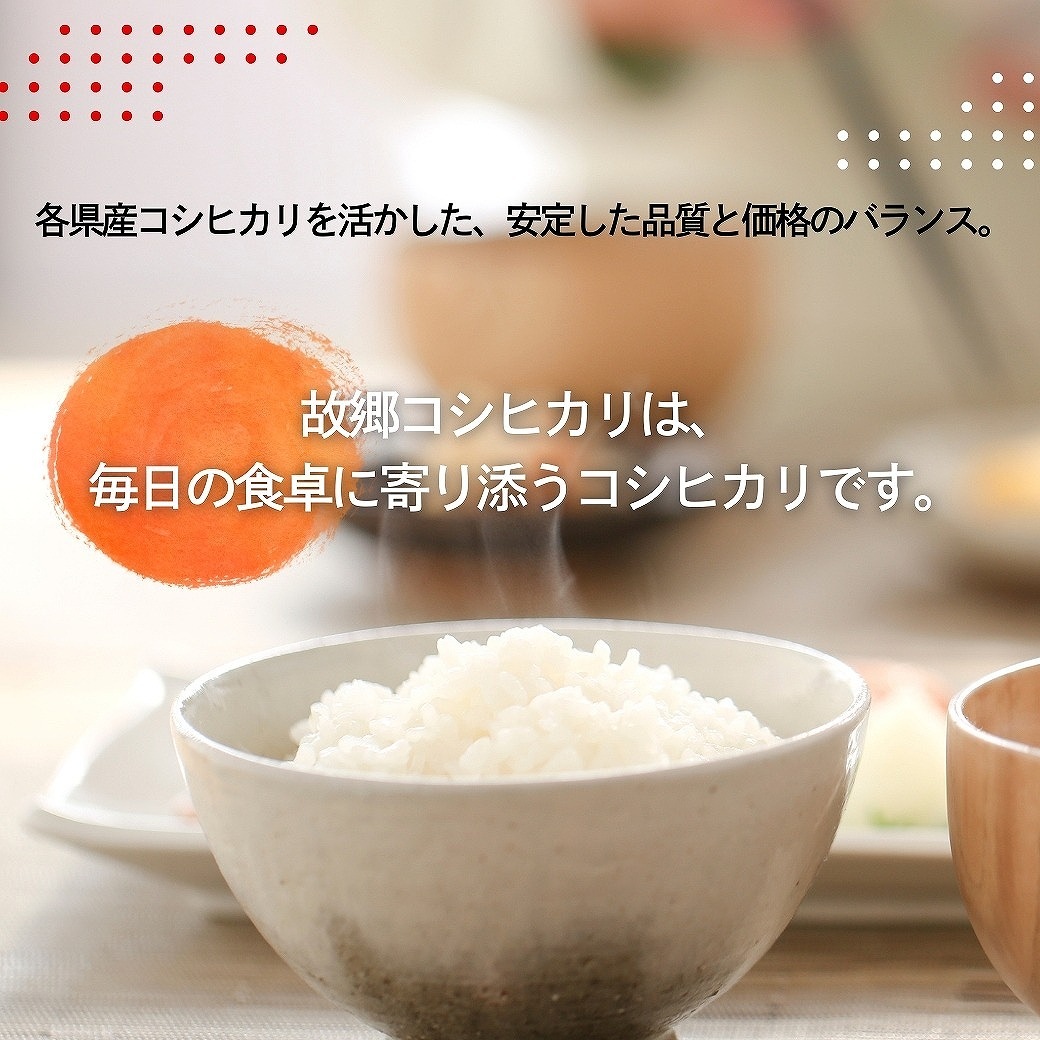 ������ء۸ζ������ҥ��� ���� 10kg ���⻺