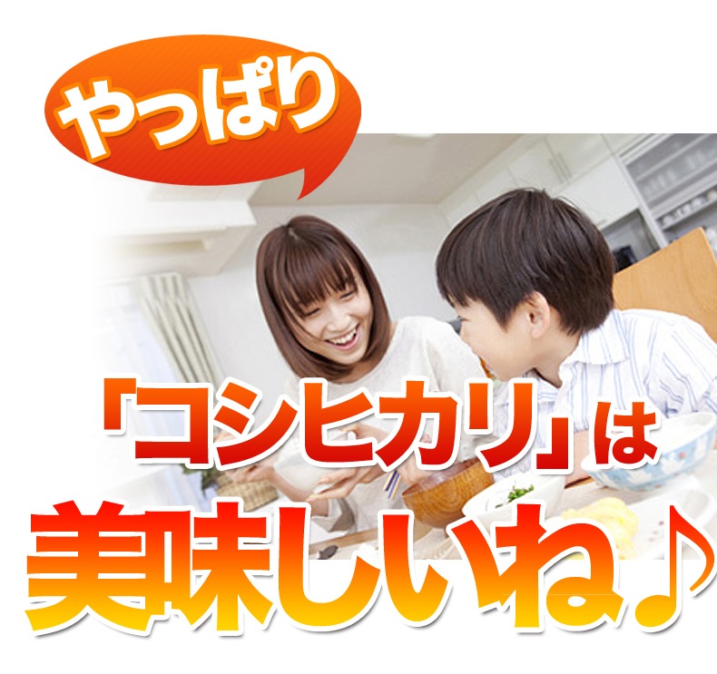 ء۸ζҥ  20kg(10kg2) ⻺