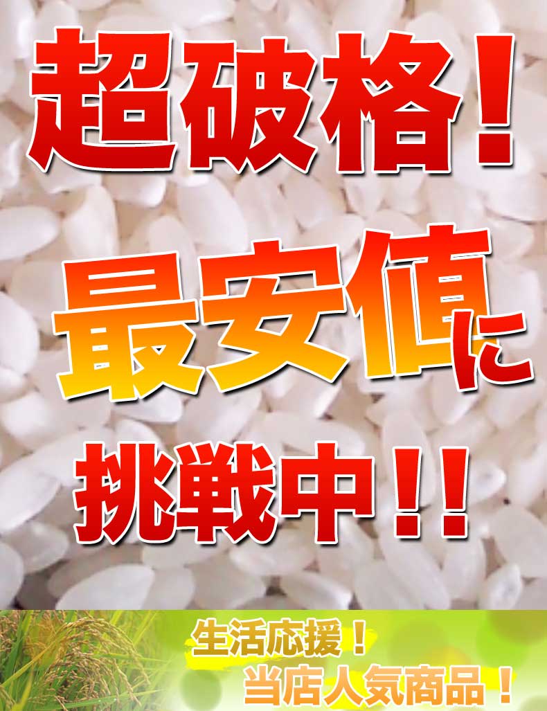 ������ءۤҤ������� ���� 20kg(10kg��2) ���⻺100% ���������