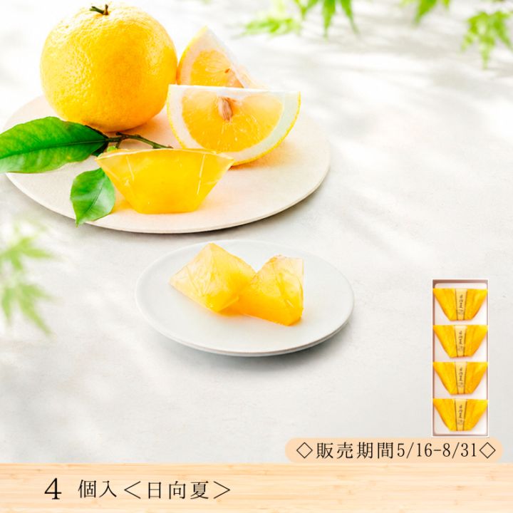 季乃詰合せ 日向夏・葛あずき（8個入） | 季節を味わう羊羹 季-toki