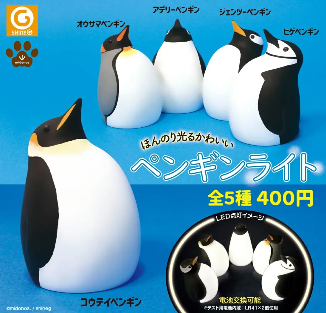  Man⭐︎2025新品ペンライト2本➕銀テセット！当日可！ばら売り可！ access-