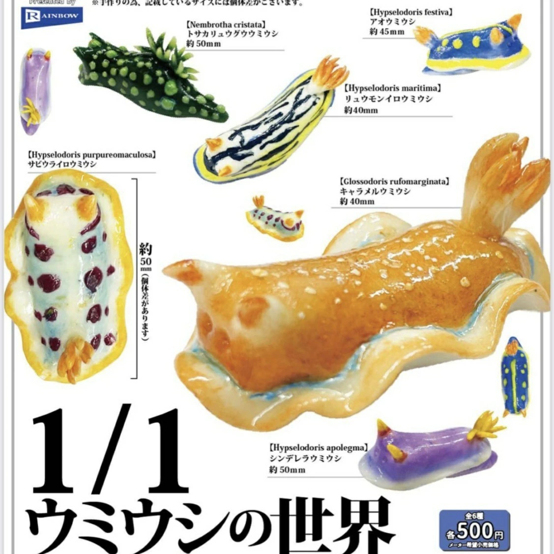 ガチャガチャ・カプセルトイ通販 サイドイン 本店 1/1 ウミウシの世界