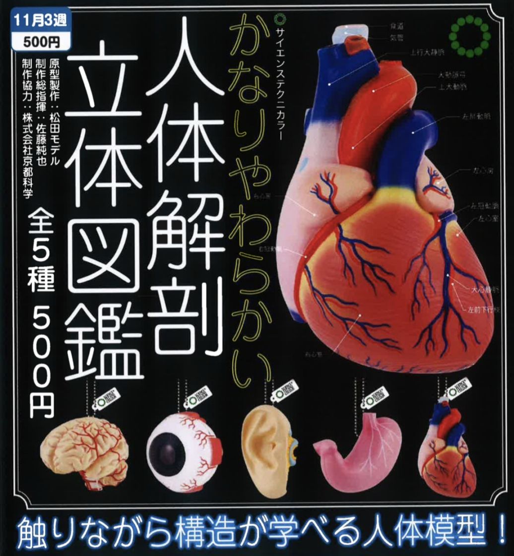 【まとめ売り】原色人体解剖図鑑　7種15個セット まとめ売り】原色人体解剖図鑑 7種15個セット