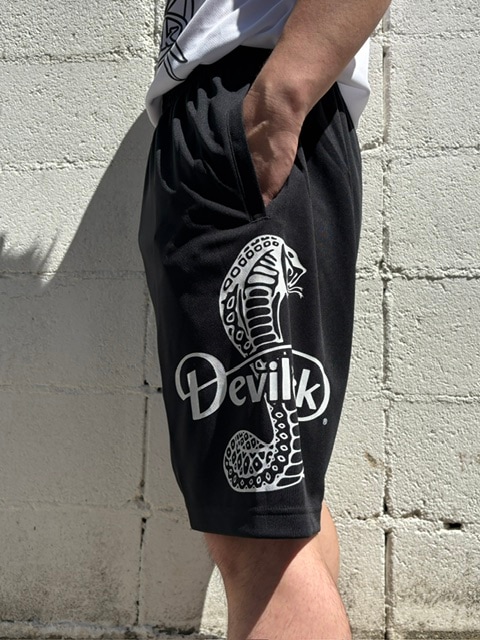 DEVILOCK �ɥ饤���硼��
