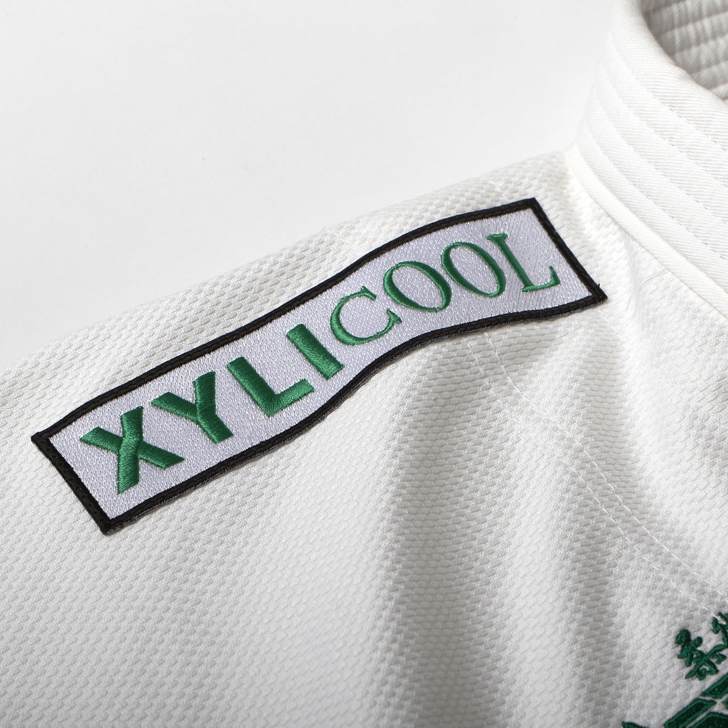 �����ꥯ��������� type2