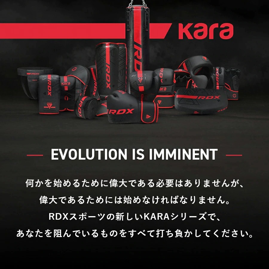 RDX KARA���꡼�� �ܥ����󥰥������� F6