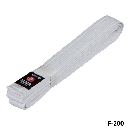 F-200 �����ӡʻ���