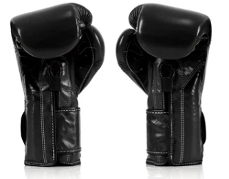 Fairtex Heavy Hitter's Gloves - Mexican Style