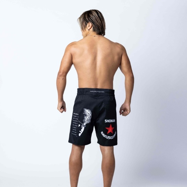 ��������²��rvddw FIGHT SHORTS
