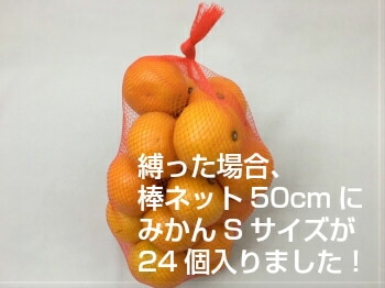棒ネット ネトロン 50cm 赤 長さ 50cm 100本 信和 棒ネット みかん