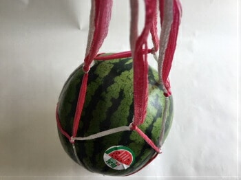 すいかネット【赤白】 中玉・大玉用 【100本】 68cm太手 西瓜 ネット