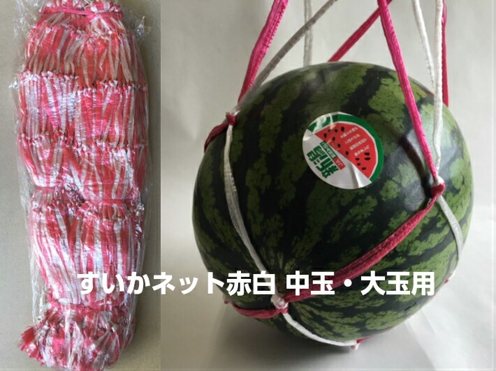 すいかネット【赤白】 中玉・大玉用 【100本】 68cm太手 西瓜 ネット