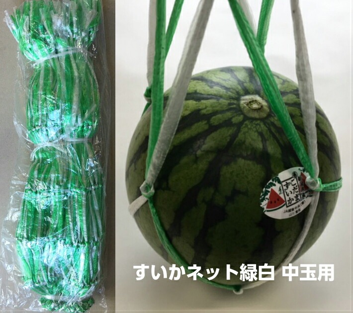 すいかネット【緑白】 中玉用 【100本】 68cm細手  西瓜 ネット スイカ 網 スイカネット すいか 販売 直売 生産者 西瓜ネット 小玉 中玉 立体栽培