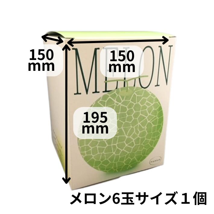 日本産 メロン 専用箱入り フレデリメロン 1ケ入 メロン箱 信和 【10枚】外寸:横150×縦150×高